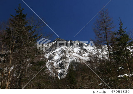 雪の八ヶ岳連峰 赤岳鉱泉への道 北沢コース 仰ぎ見る横岳 雪の八ヶ岳連峰 赤岳鉱泉への道 北沢コース 仰ぎ見る横岳 47065386