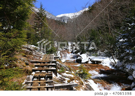 雪の八ヶ岳連峰 赤岳鉱泉への道　北沢コース　 47065398