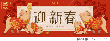 Cute piggy wearing traditional costumes 47066077
