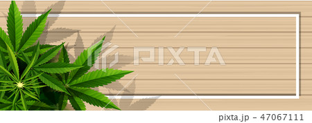 Marijuana plant and cannabis on wood floor vector. Marijuana plant and cannabis on wood floor vector. 47067111