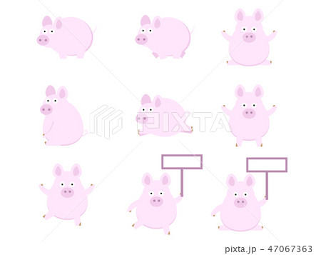 cute pig flat design vector illustration 47067363