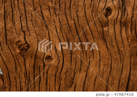 old wood background  texture 47067410