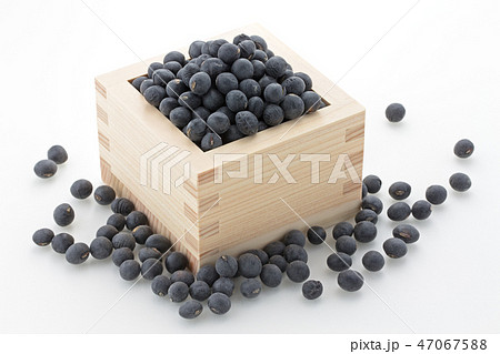 黒大豆 47067588
