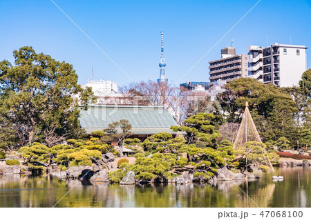 (東京都)清澄庭園 (東京都)清澄庭園 47068100