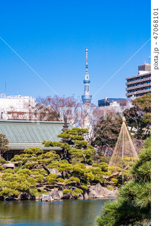 (東京都)清澄庭園 (東京都)清澄庭園 47068101