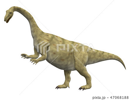 恐竜 プラテオサウルスのイラスト素材