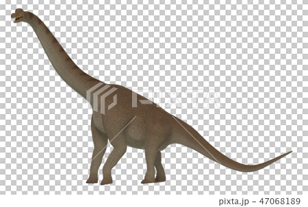 恐竜：ブラキオサウルス 47068189