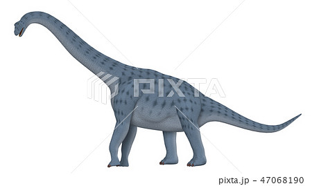 恐竜 フクイティタンのイラスト素材