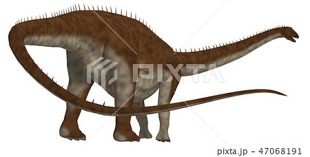 恐竜:ディプロドクス 恐竜:ディプロドクス 47068191