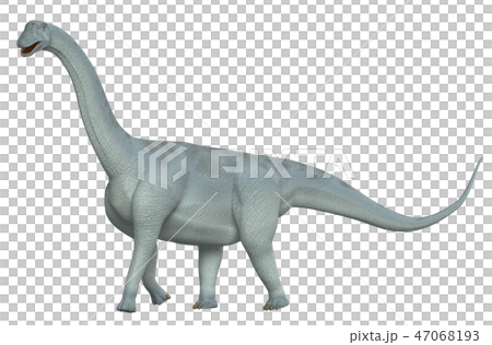 Dinosaurs: Camarasaurus 47068193