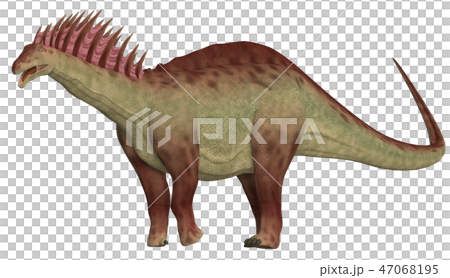 恐竜 アマルガサウルスのイラスト素材