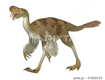 恐竜 オビラプトルのイラスト素材