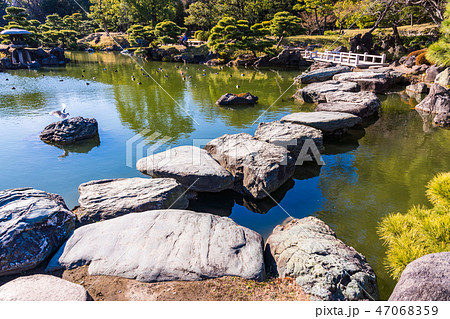 （東京都）清澄庭園　渡り石 47068359