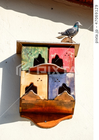 壁に取り付けられたカラフルな巣箱 47069129