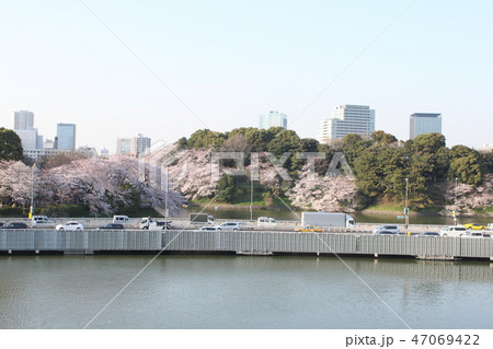 千鳥ヶ淵の桜と首都高速都心環状線 千鳥ヶ淵の桜と首都高速都心環状線 47069422