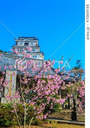 平戸城とさくら 【長崎県平戸市】 平戸城とさくら 【長崎県平戸市】 47069598