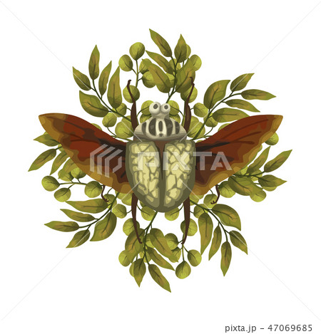 Beetle hercules. Insect with wings. Beetle hercules. Insect with wings. 47069685