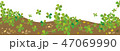 背景クローバー 47069990