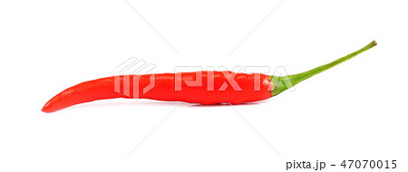 red chili pepper on white background red chili pepper on white background 47070015