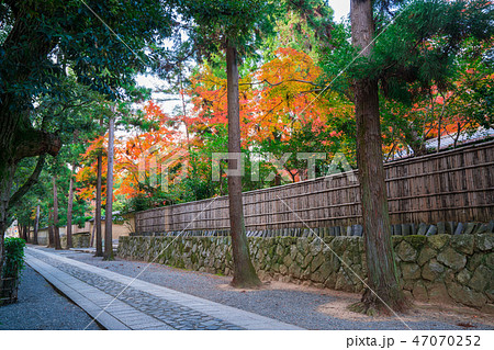 京都 大徳寺の参道と紅葉 京都 大徳寺の参道と紅葉 47070252