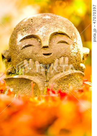 京都 圓光寺 わらべ地蔵さま 京都 圓光寺 わらべ地蔵さま 47070397