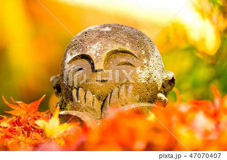 京都 圓光寺 わらべ地蔵さま 京都 圓光寺 わらべ地蔵さま 47070407