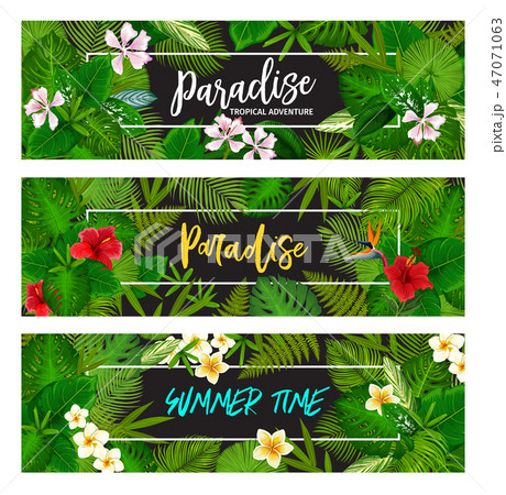 Tropical exotic palm leaf banners 47071063