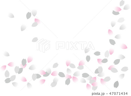 桜吹雪背景 透かし グレー ピンクのイラスト素材