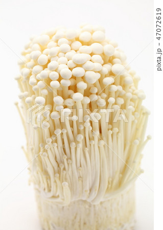 エノキタケ 47072619