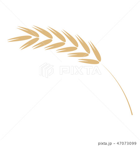 Cereal ear simple icon in flat vector illustration - ripe yellow agricultural seed of grain plant. Cereal ear simple icon in flat vector illustration - ripe yellow agricultural seed of grain plant. 47073099