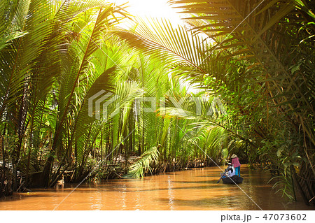People boating in delta of Mekong river, Vietnam 47073602