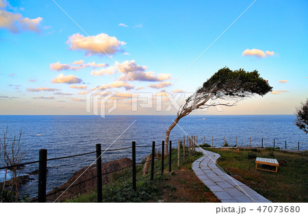 能登半島　聖域の岬 47073680