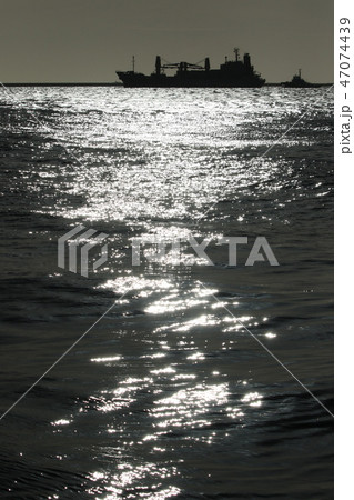 東京湾の朝 東京湾の朝 47074439