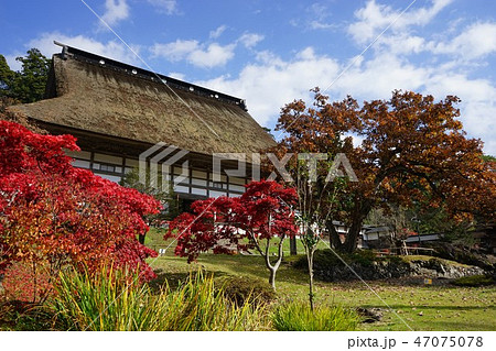 秋の正法寺 秋の正法寺 47075078