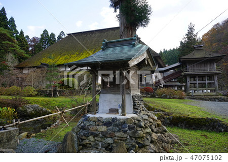 秋の正法寺 47075102