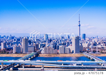 （東京都）東京都市風景・首都高速道路 47075178