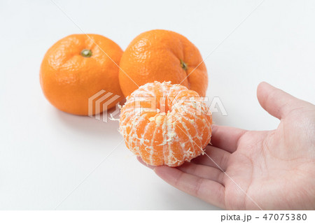 白背景で女性の手で持つ皮を剥いたみかんの写真素材 [47075380] - PIXTA