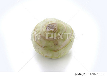 コールラビ 47075965