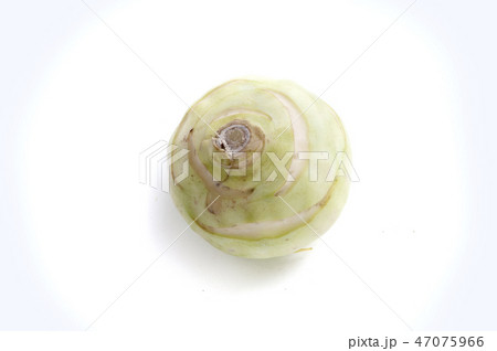 コールラビ 47075966