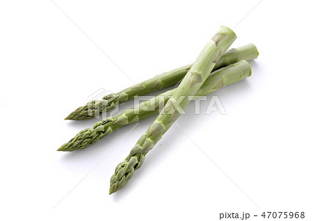 アスパラガス 47075968