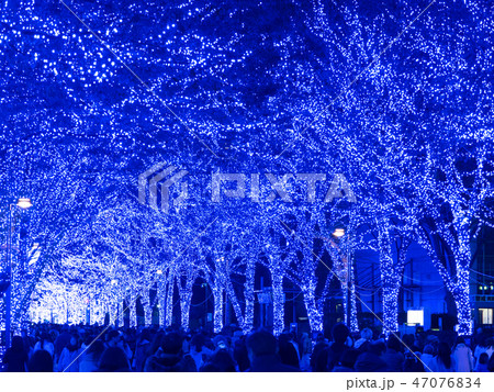 東京都 青の洞窟SHIBUYA 東京都 青の洞窟SHIBUYA 47076834