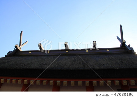 住吉大社 47080196