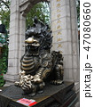 香港の龍 47080660