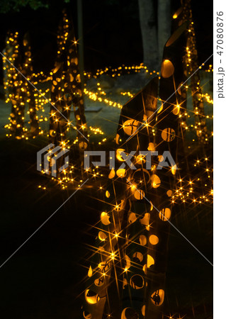 広島県福山城のあかり祭り 広島県福山城のあかり祭り 47080876