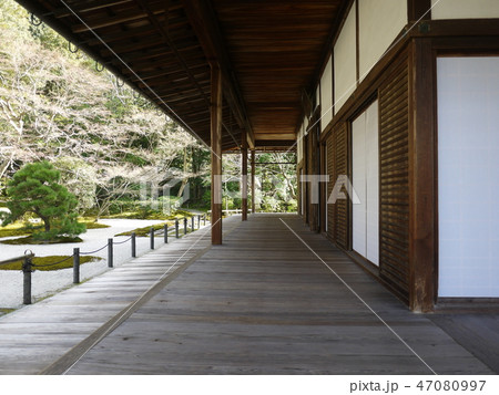 高台寺廊下 高台寺廊下 47080997