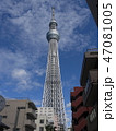 スカイツリー 47081005