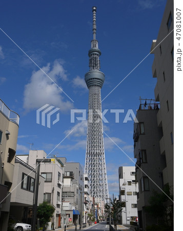 スカイツリー 47081007