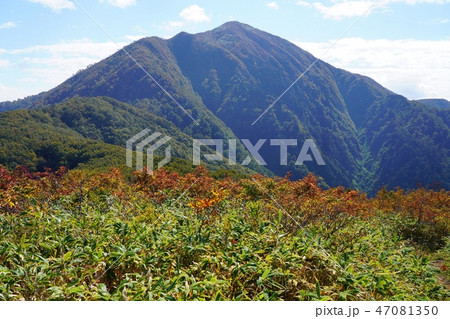 小荒島岳からの荒島岳 47081350