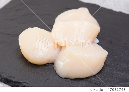 おいしい帆立貝 おいしい帆立貝 47081743