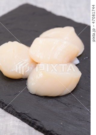 おいしい帆立貝 おいしい帆立貝 47081744
